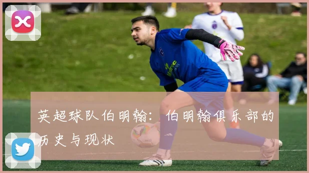 英超球队伯明翰：伯明翰俱乐部的历史与现状